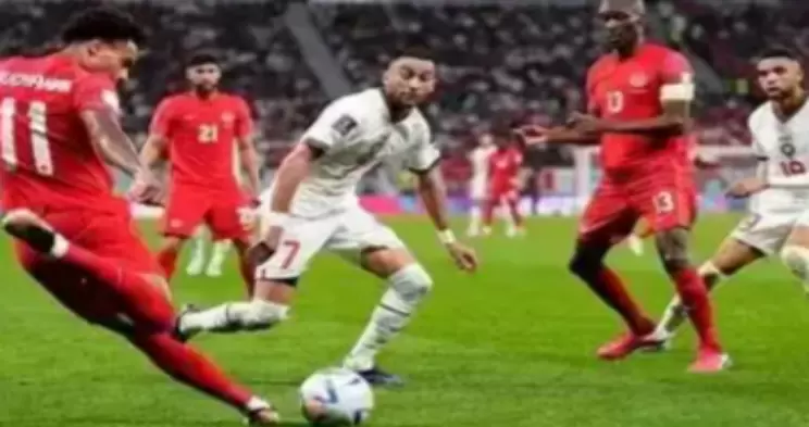 博洛尼亚直播_博洛尼亚高清在线体育直播频道_博洛尼亚体育直播高清直播-24直播